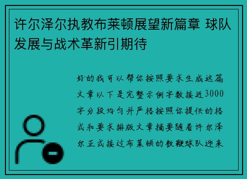 许尔泽尔执教布莱顿展望新篇章 球队发展与战术革新引期待